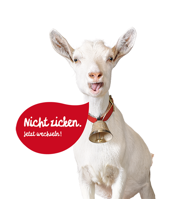 EBLD Schweizstrom GmbH